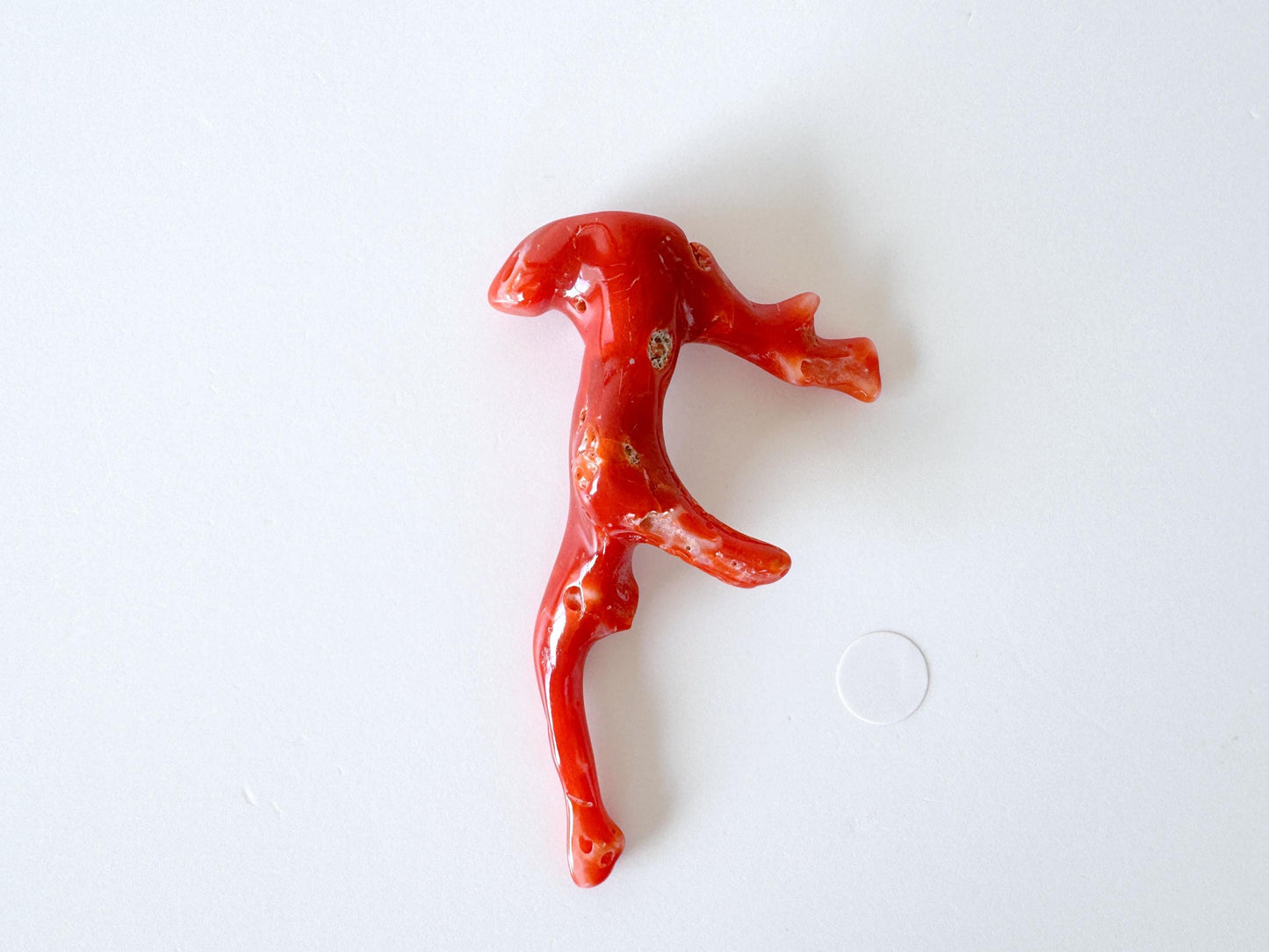 Japanese red(Aka) coral branch, 55mm, Hole on top, Natural red color coral for jewelry making