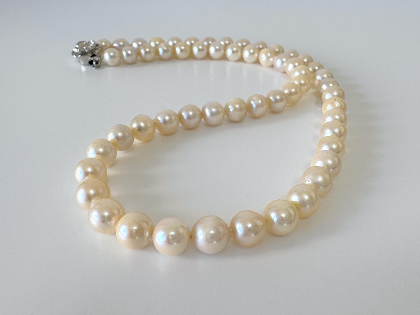 7-7.5mm Japanese Yellow Akoya Pearl Necklace with Silver Clasp, Genuine Akoya Pearl, 44.5cm, 17.5in, Cultured Salt water pearl