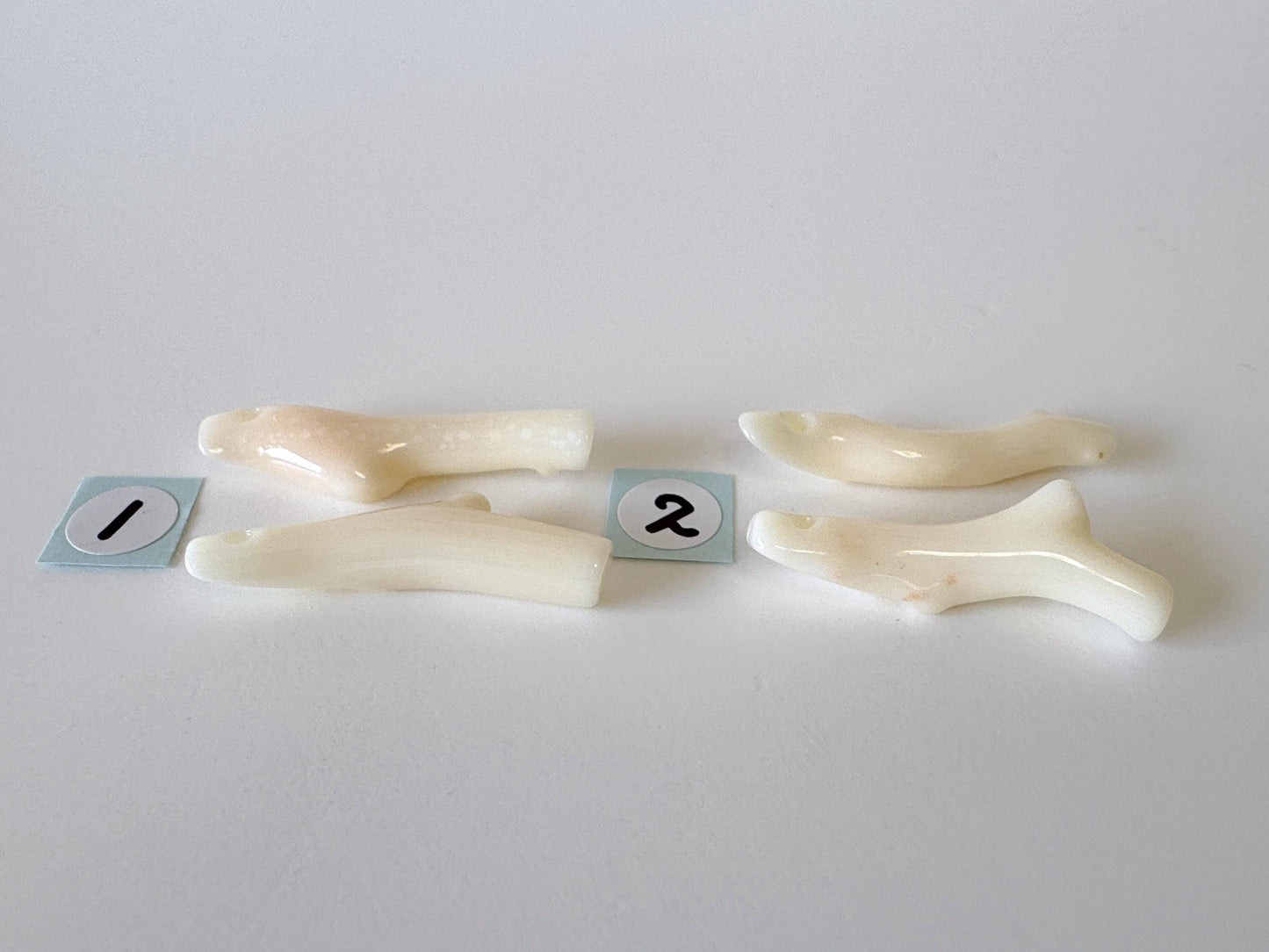 Value-priced Natural White Coral Branch Loose, Set of 2 pieces, Natural Color Deep Sea Midway Coral Branch