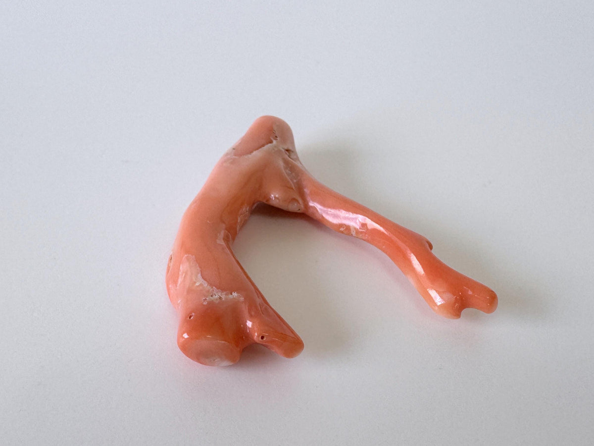 Natural Coral Branch, Pink Orange, 41mm | Hole Top | Deep Sea Coral Jewelry Making Supply