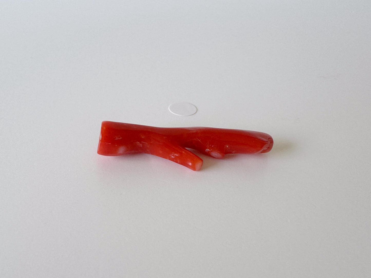 Japanese red(Aka) coral branch, 40mm, Hole on top, Natural red color coral for jewelry making