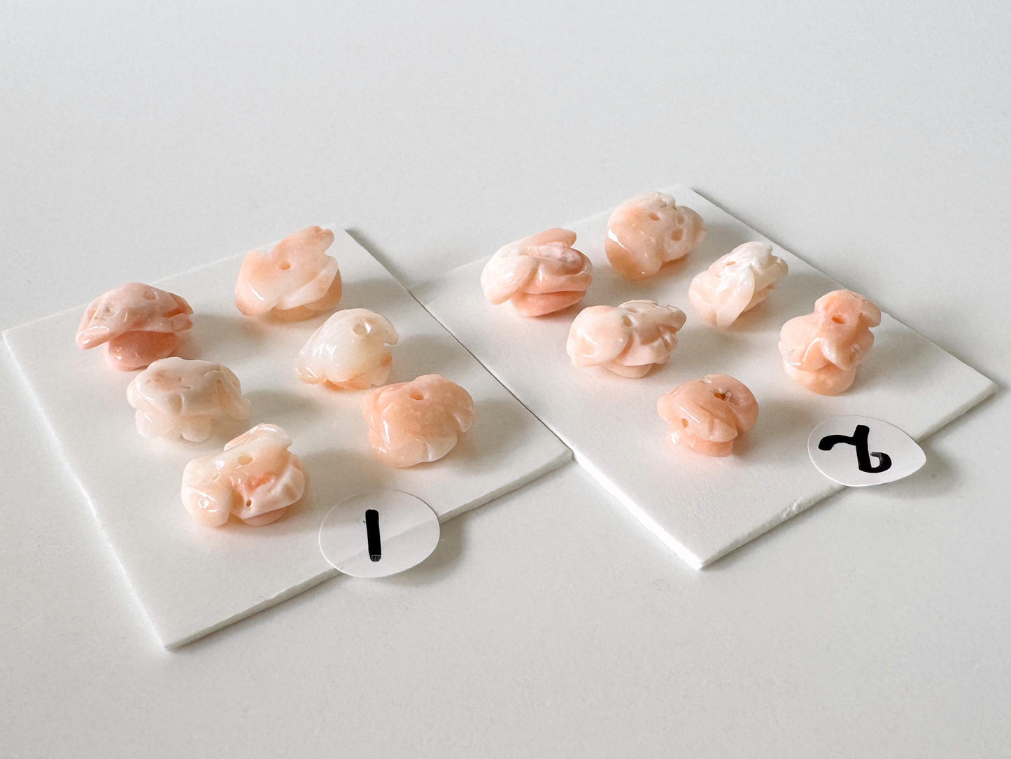 two white plates with small, pink objects arranged on them. The objects appear to be small, round, and have a pinkish hue. There are no other objects or text visible in the image.