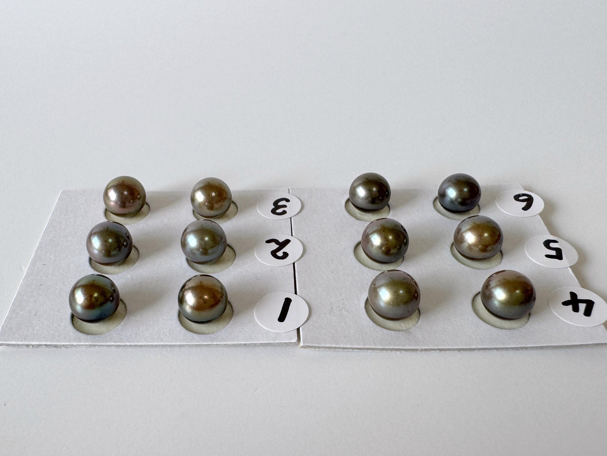 Peacock Black Akoya, Japanese Cultured Round Loose Pair | Salt Water | Half Drilled | 7-7.5Mm