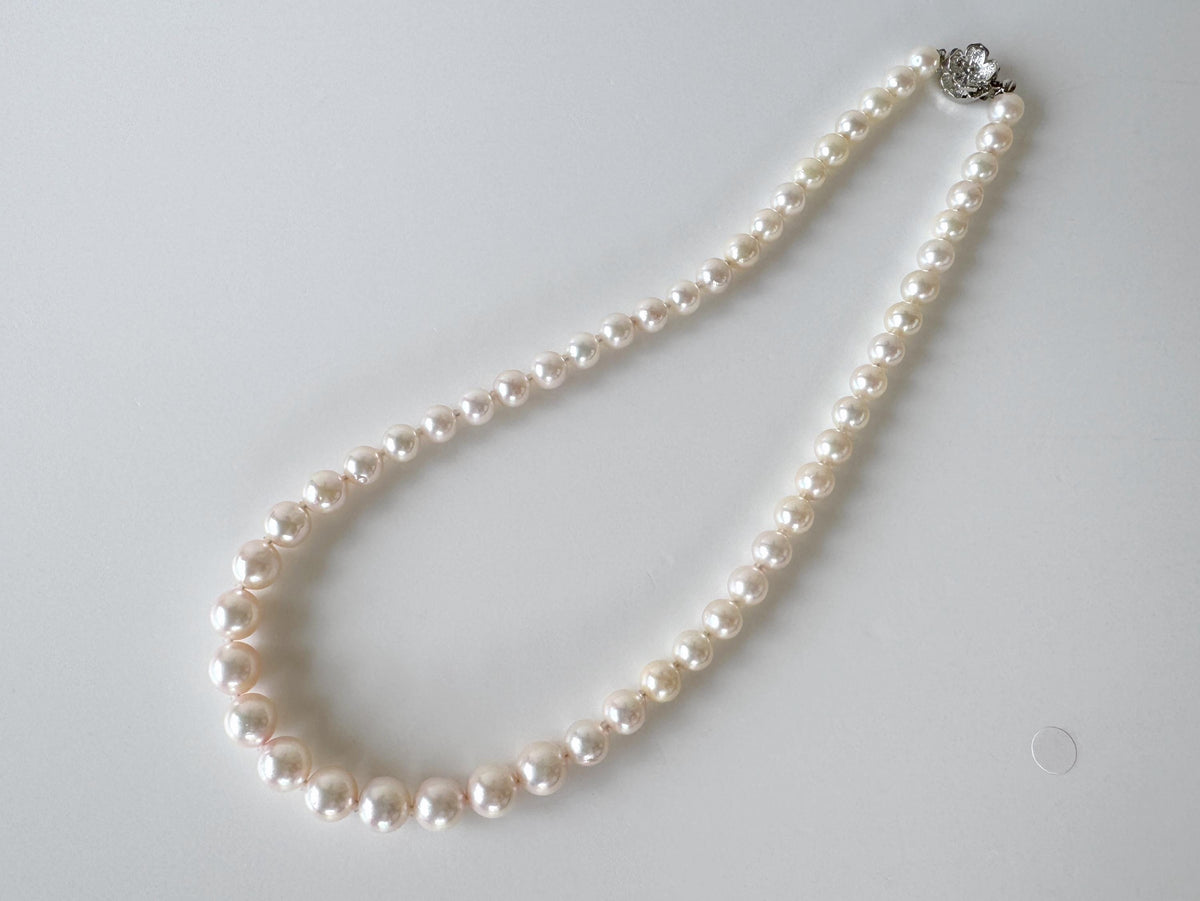 Japanese Akoya Pearl Necklace: White/Slightly Pink 6.8-9.3mm Cultured Strand, Silver Clasp | Saltwater Gems, 45cm Length