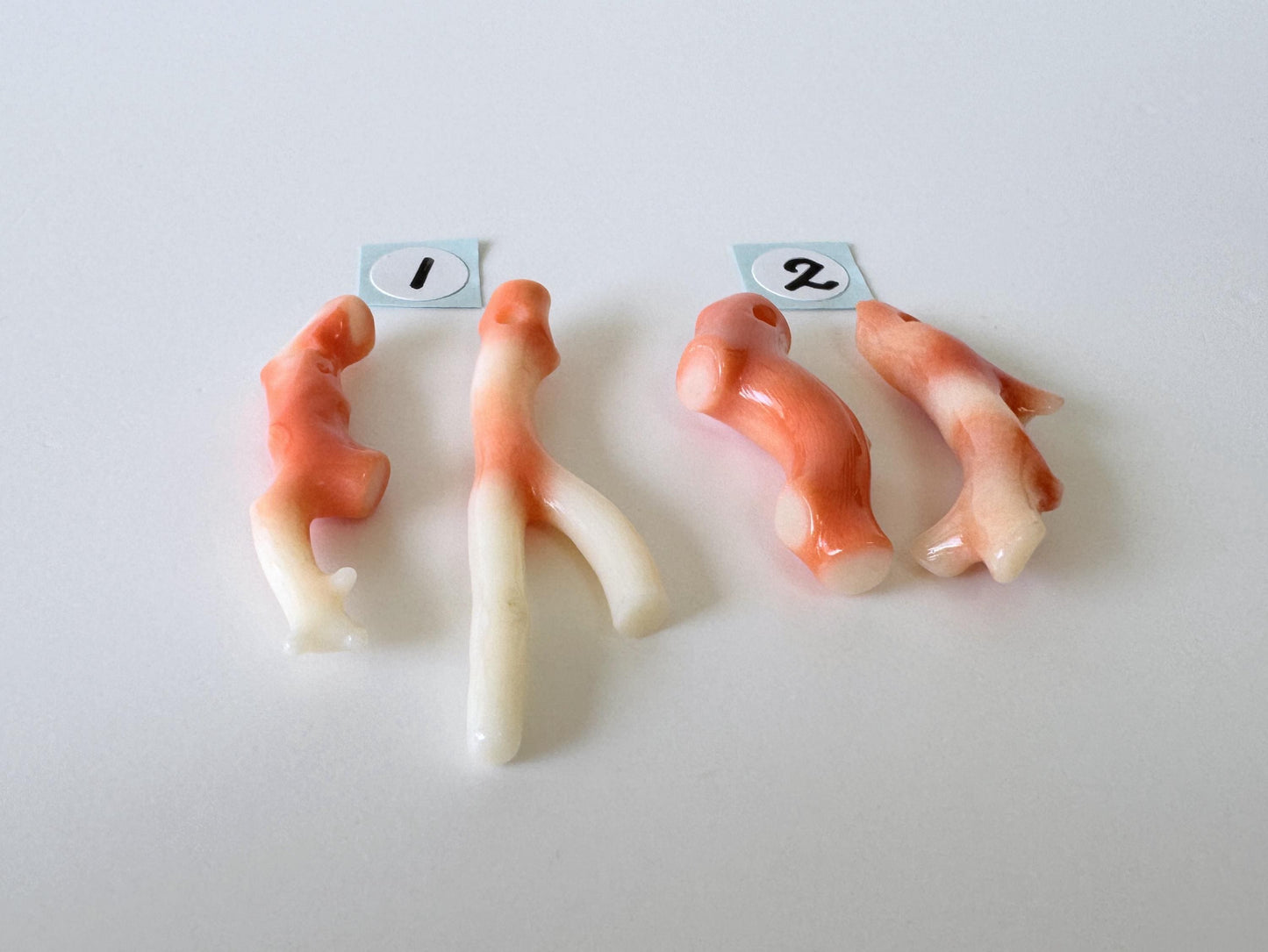 Momo Coral Branch Natural Orange: Genuine Precious Coral Loose Set (2 Pieces, 28-40mm Length, Drilled Holes, Jewelry Supplies)