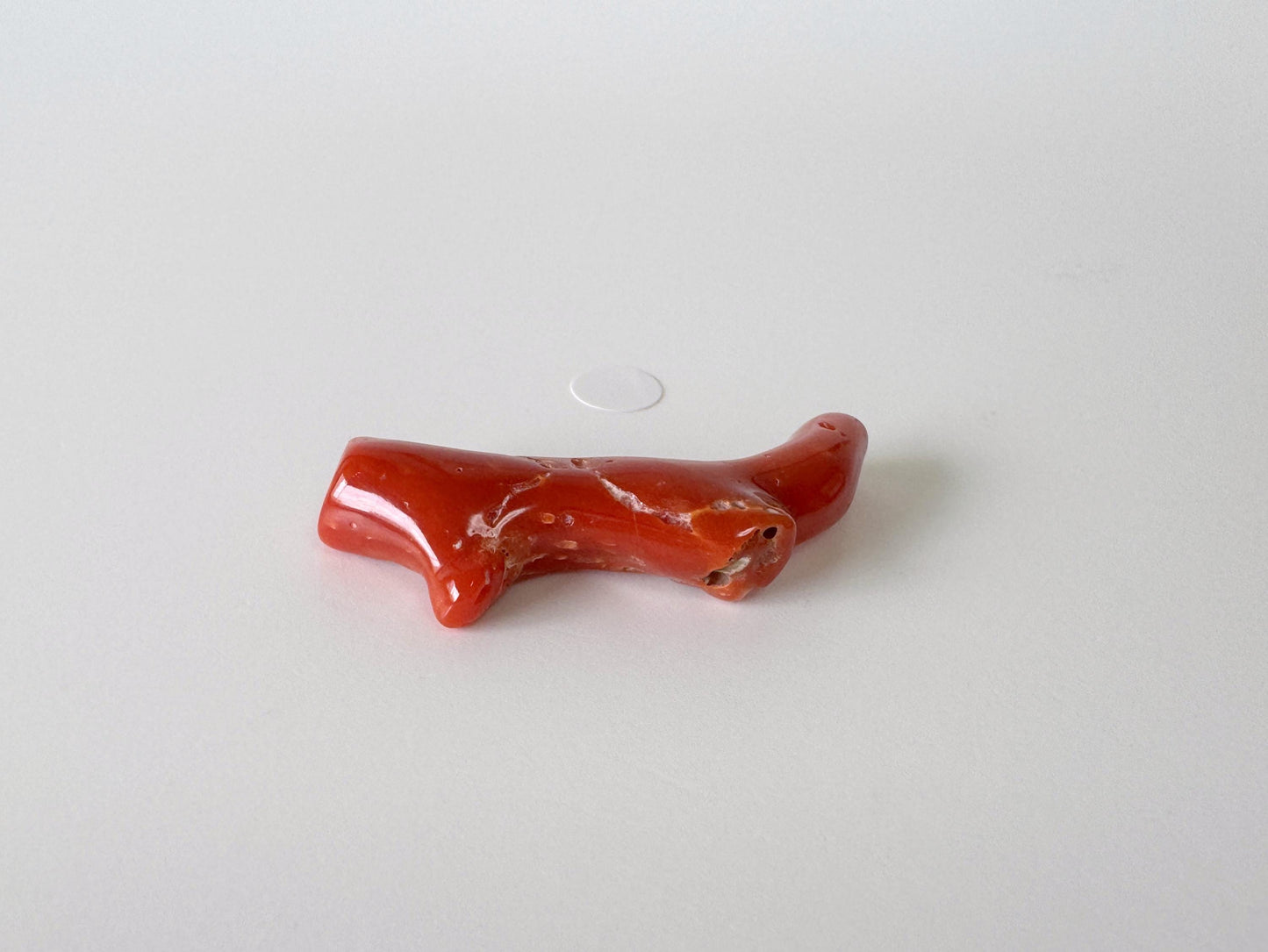 Japanese red(Aka) coral branch, 40mm, Hole on top, Natural red color coral for jewelry making