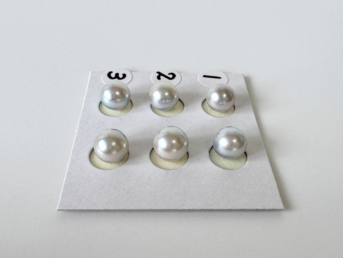 Akoya Pearls Loose Natural Blue/Silver Half-Drilled: 7-7.5mm, Japanese Cultured Saltwater Beads, Pair Pricing | Jewelry Supplies