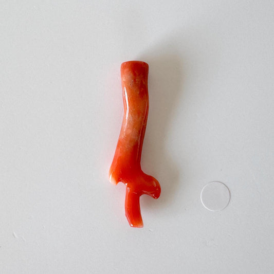 Japanese red(Aka) coral branch, 42mm, Hole on top, Natural vermilion color coral for jewelry making