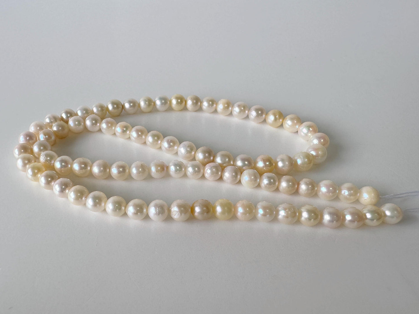 Japanese Akoya Pearl Strand - Cultured Saltwater Beads - 5-5.9mm White-Off White, Full 40cm Length, Jewelry Crafts