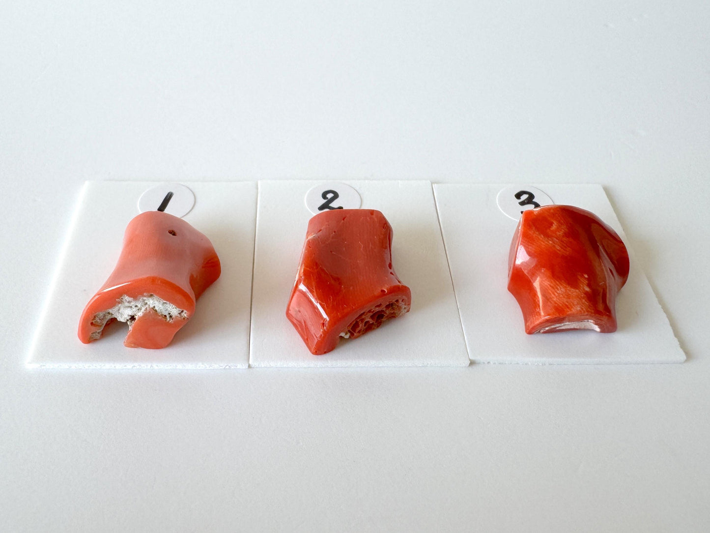 Mediterranean Coral Loose Gemstone: Natural Red-Orange Tones - Untreated, Top-hole, Jewelry Making Supplies, Per Piece