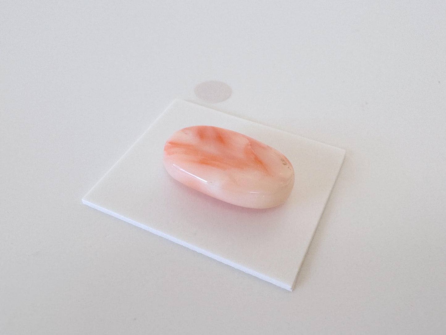 Natural Deep Sea Coral Cabochon, Pink/Orange Oval, 22x13.4mm