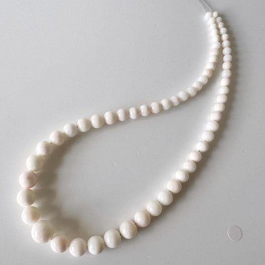 Natural Coral Strand Beads: Midway Deep Sea White/Very Slightly Light Pink - Round Shape, 4.5-11.5mm, 40cm Length, Jewelry Making