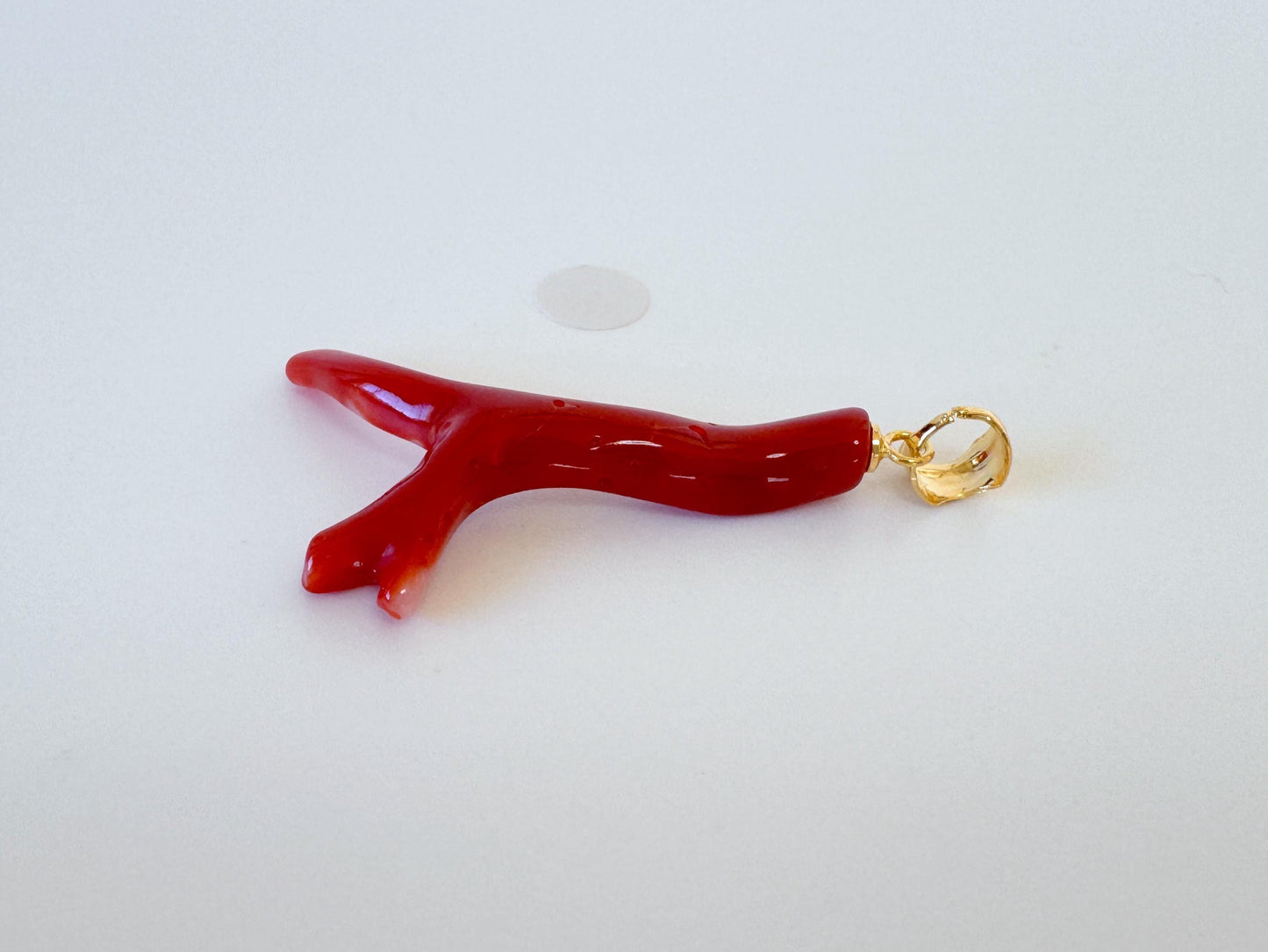 Natural Red Coral Branch Pendant: Oxblood Japanese Aka Coral, Gold Plated Silver Bail, 37mm