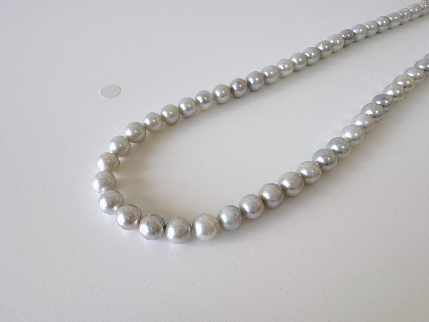 6.5-7mm Cobalt Treated Akoya Pearl Strand: Blue Silver Japanese Saltwater Beads