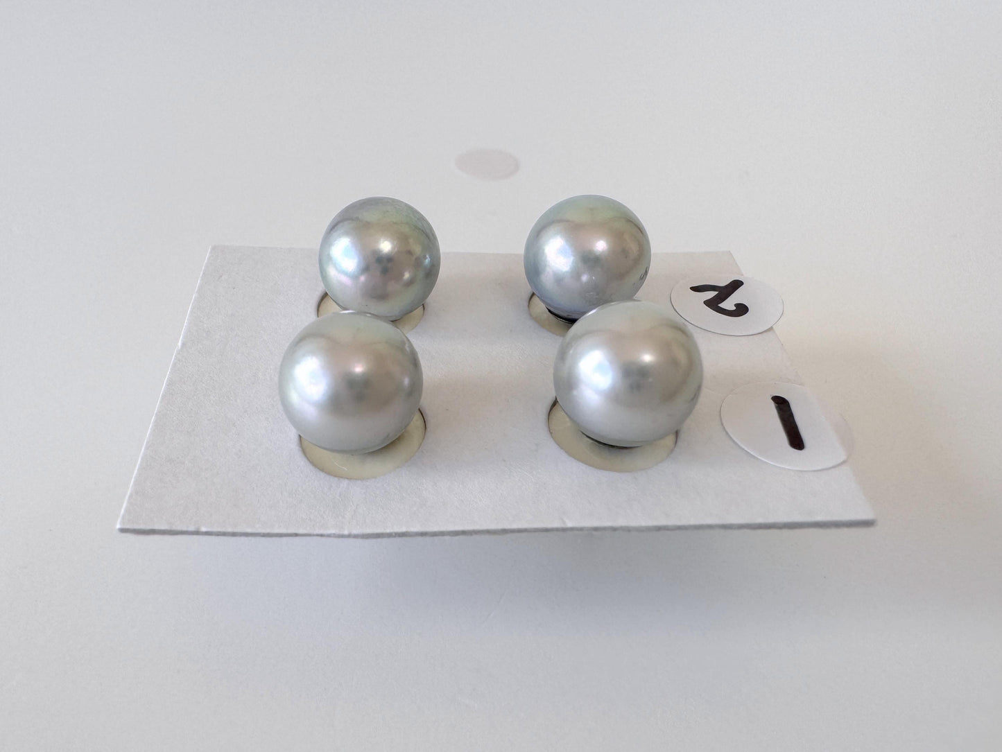 Blue Akoya Pearl Stud Earrings, 8.7mm, Titanium Posts  (Cobalt treated)