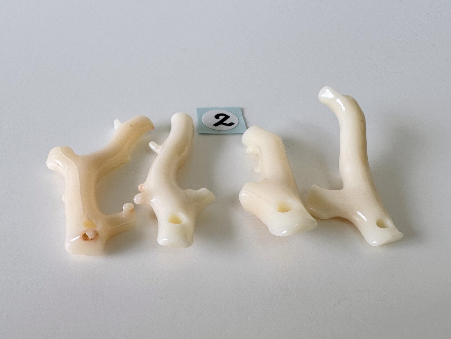 Natural Coral Branch: Deep Sea White-Pink Midway Coral, Genuine Material | Set of 4 Pieces, Drilled Holes, Jewelry Supplies, 26-37mm Length