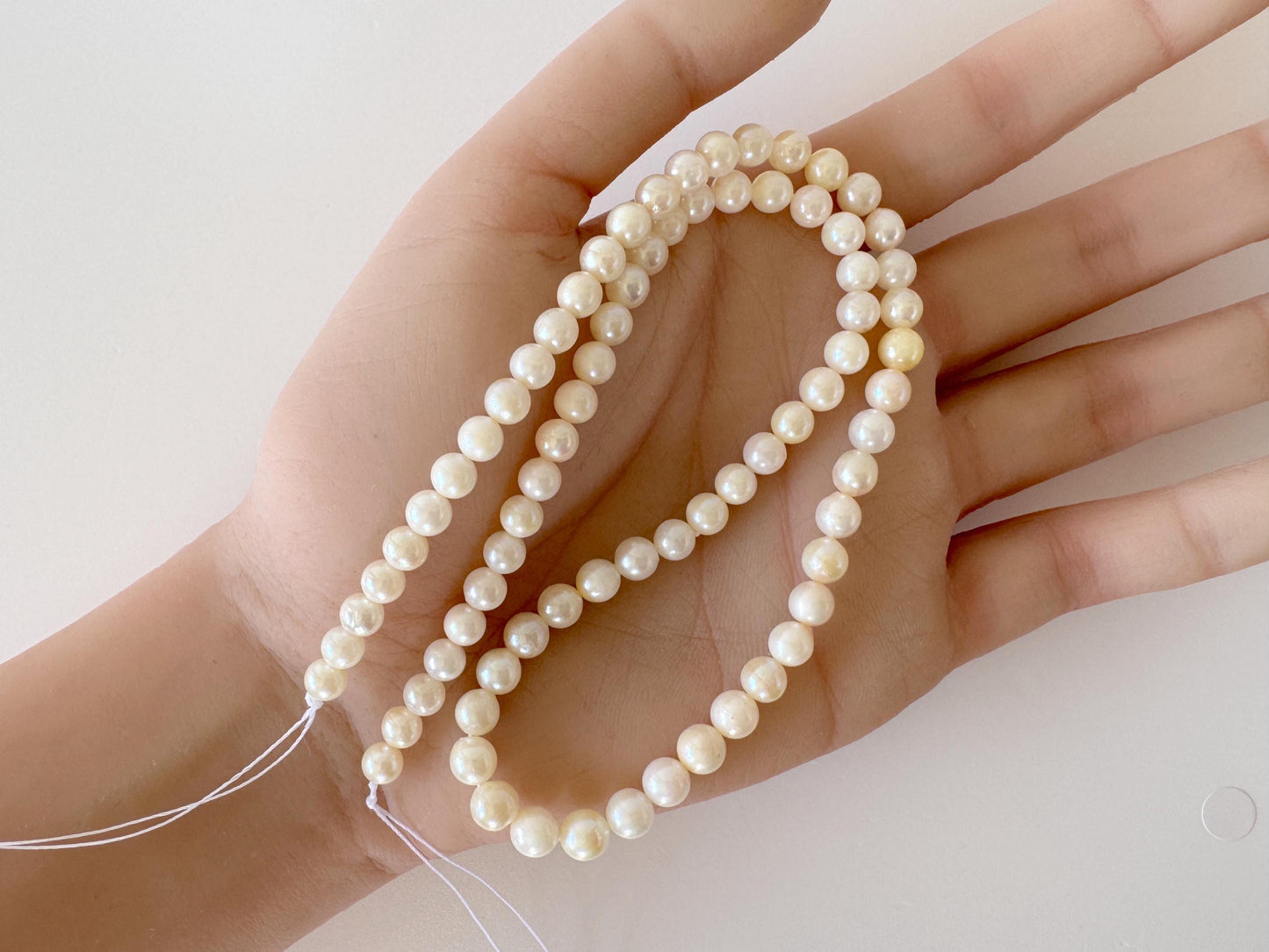 Japanese Akoya Pearl Strand - Cultured Saltwater Beads - 5-5.8mm White-Off White, Full 40cm Length, Jewelry Crafts, Value-Priced