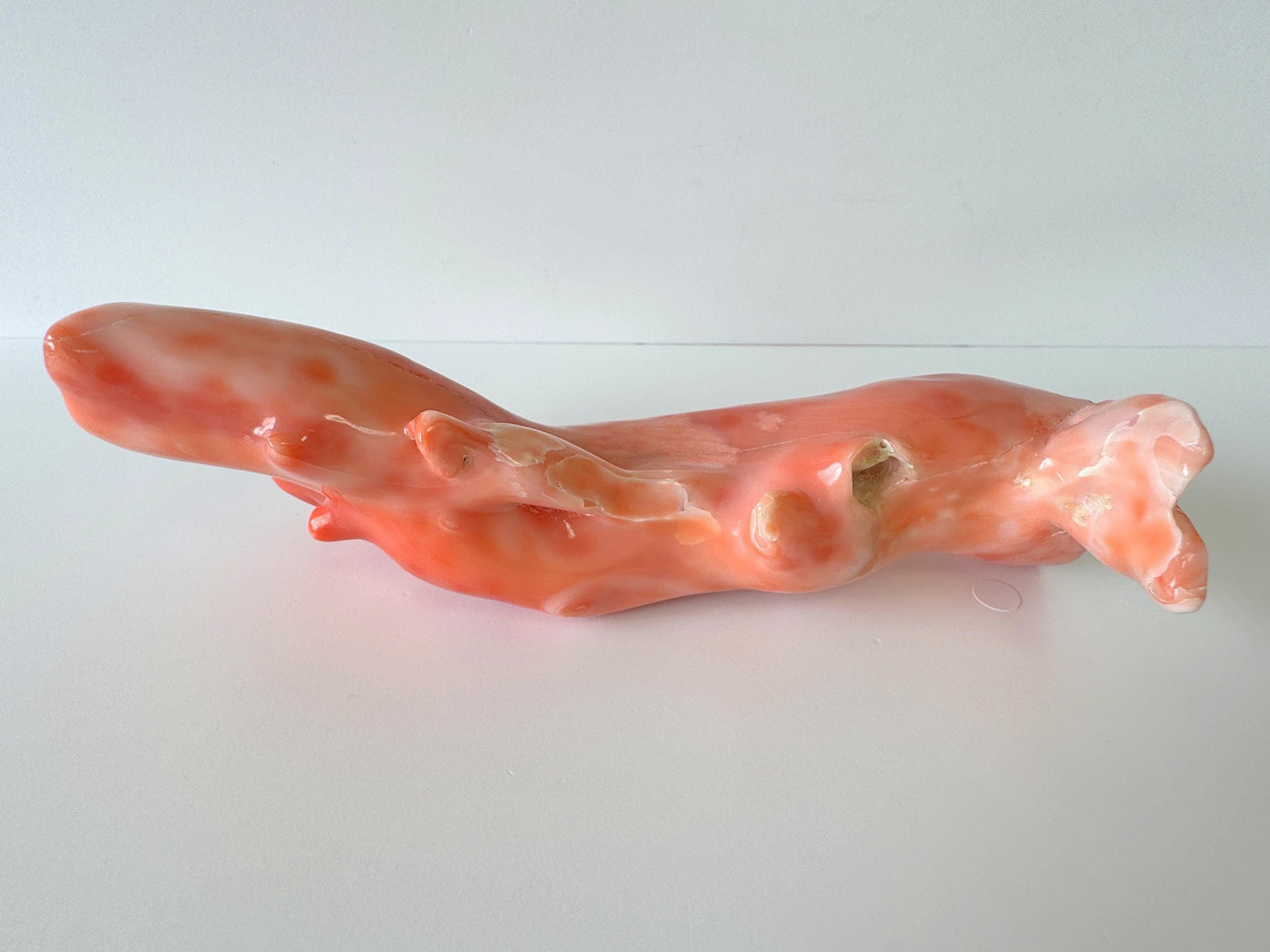 15ｘ5cm Big Diameter Natural Deep Sea Coral Branch Loose, Genuine Natural Color Orange/Pink Color Coral Branch, No Drilled Hole, For Display
