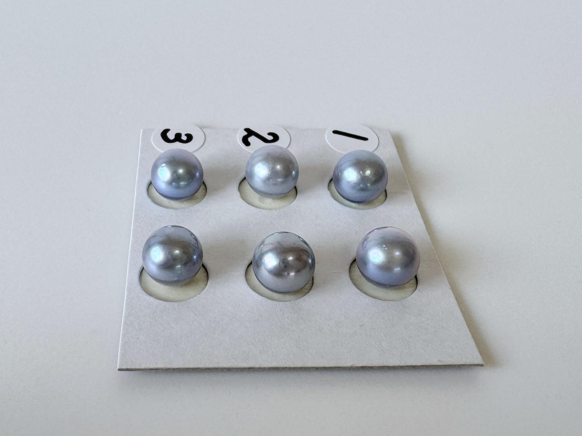 Japanese Blue/Silver (Treated) Akoya Pearl 7-7.5mm, Half-Drilled loose, Price per pair, Salt water pearl
