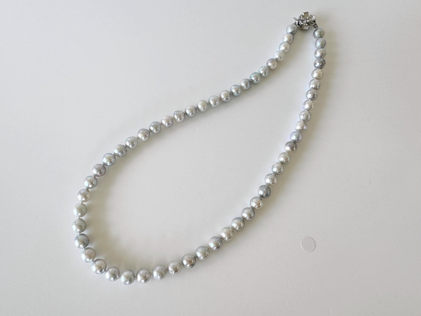 Japanese Akoya Pearl : Natural Blue Silver Color - Cultured Saltwater Pearls, 7-7.5mm Beads, Silver Clasp Necklace, 45cm