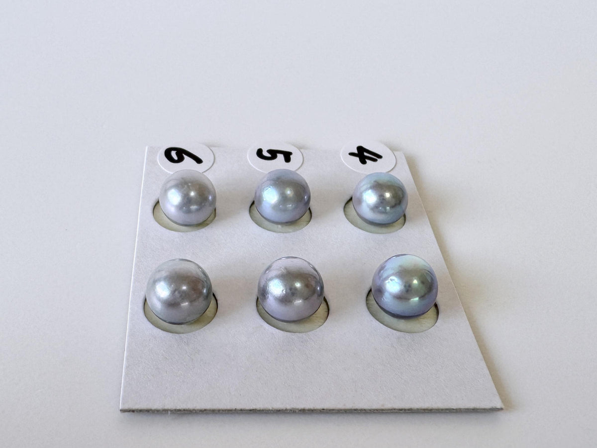 Japanese Blue/Silver (Treated) Akoya Pearl 7-7.5mm, Half-Drilled loose, Price per pair, Salt water pearl