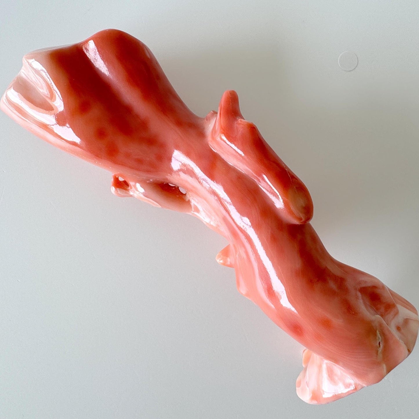 15ｘ5cm Big Diameter Natural Deep Sea Coral Branch Loose, Genuine Natural Color Orange/Pink Color Coral Branch, No Drilled Hole, For Display
