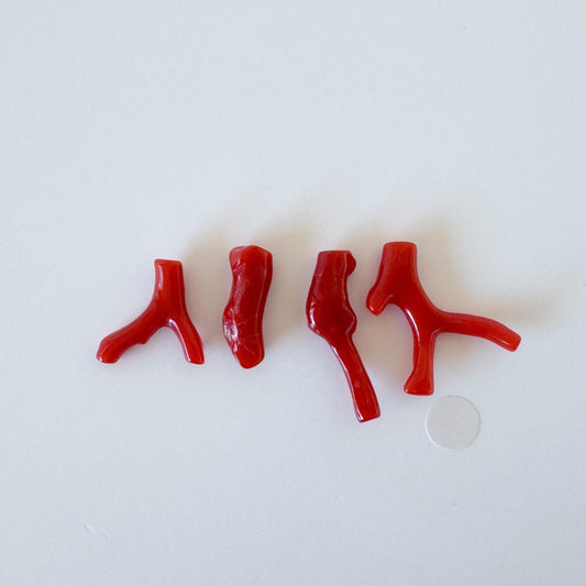Red Coral Branch Set: Natural Aka Coral for Jewelry Making (16-24mm), Hole on Top (4 Pcs)