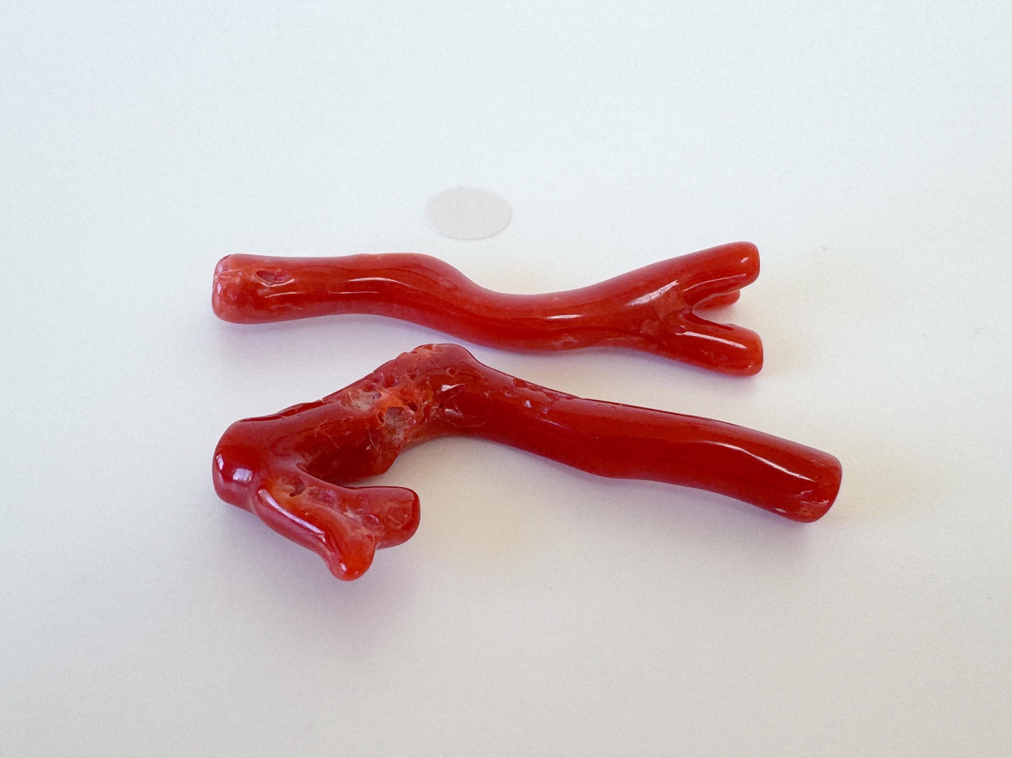 Red Coral Branch Set: Natural Aka Coral for Jewelry Making (41-44mm), Hole on Top