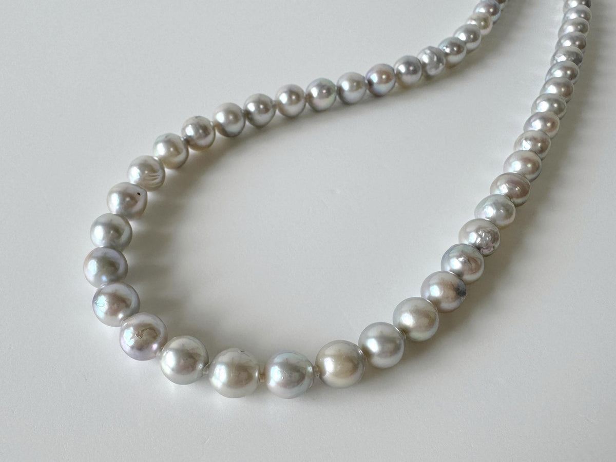 Japanese Akoya Pearl : Natural Blue Silver Color - Cultured Saltwater Pearls, 7.6-8.5mm Beads, Silver Clasp Necklace, 45cm