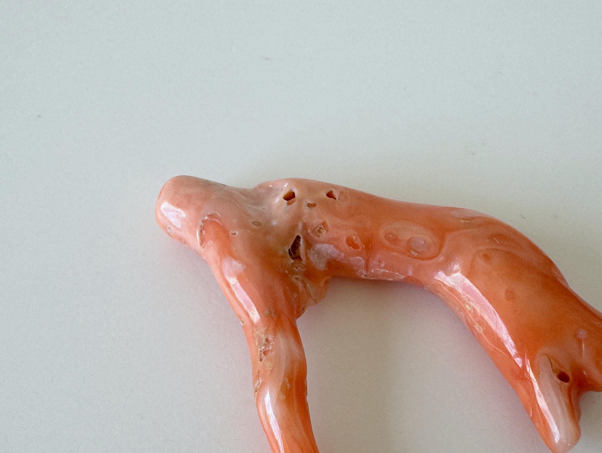 Natural Coral Branch, Pink Orange, 41mm | Hole Top | Deep Sea Coral Jewelry Making Supply