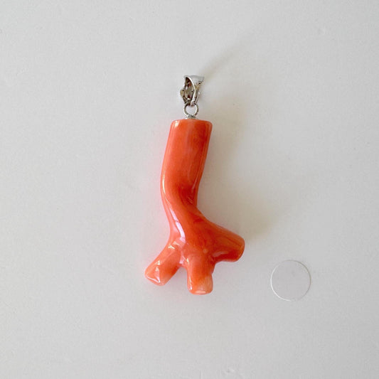 A pendant in the shape of a coral or seashell is shown against a white background.