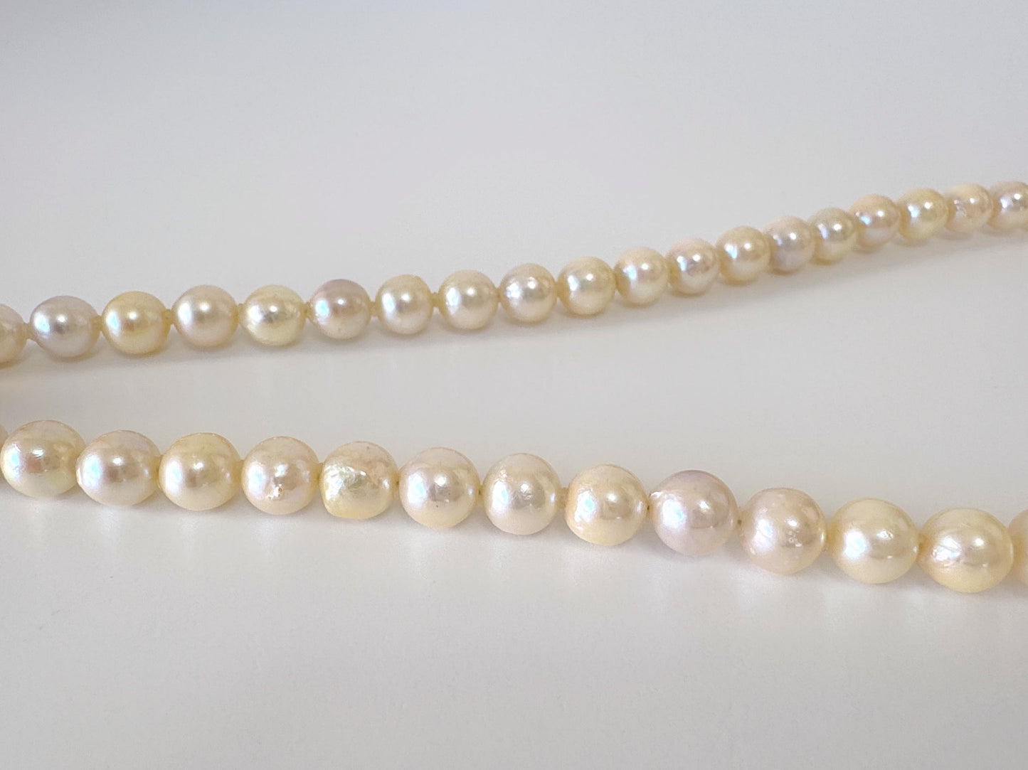 7-7.5mm Japanese Yellow Akoya Pearl Necklace with Silver Clasp, Genuine Akoya Pearl, 44.5cm, 17.5in, Cultured Salt water pearl