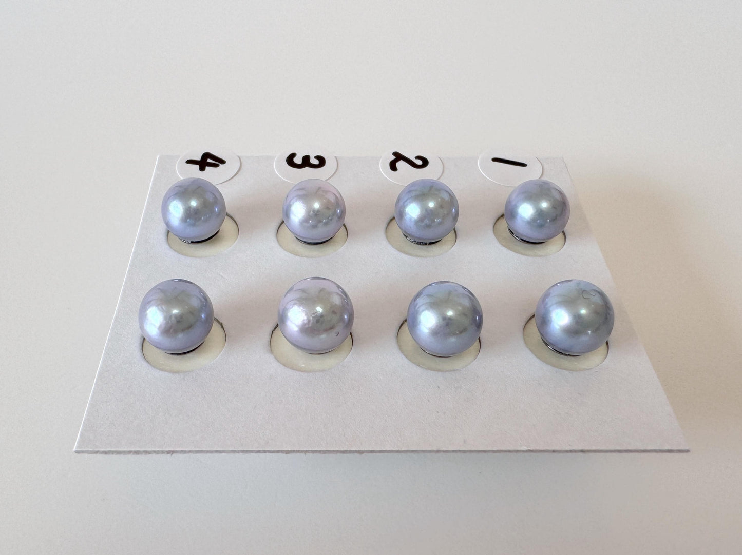 Japanese Akoya Pearl Stud Earrings, Blue Silver Treated (7mm, Titanium Posts, Saltwater Cultured)