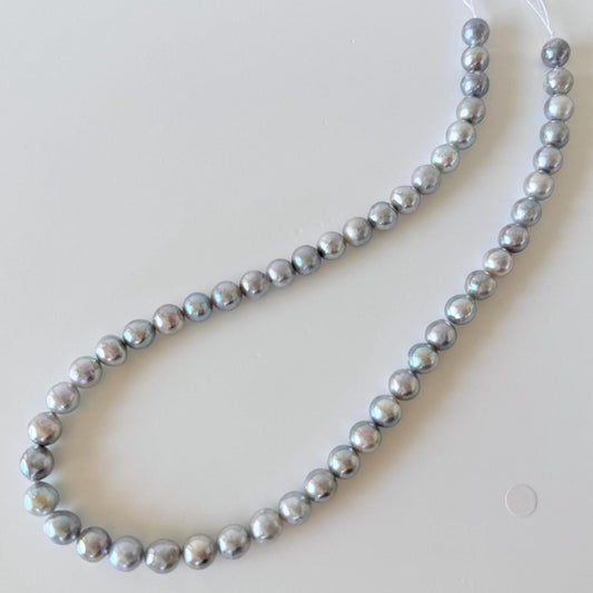 Japanese Akoya Pearl Strand - Natural Blue Silver Cultured Beads - Semi-Round Shape, 8-8.5mm Size, Saltwater Pearls, 40cm Length