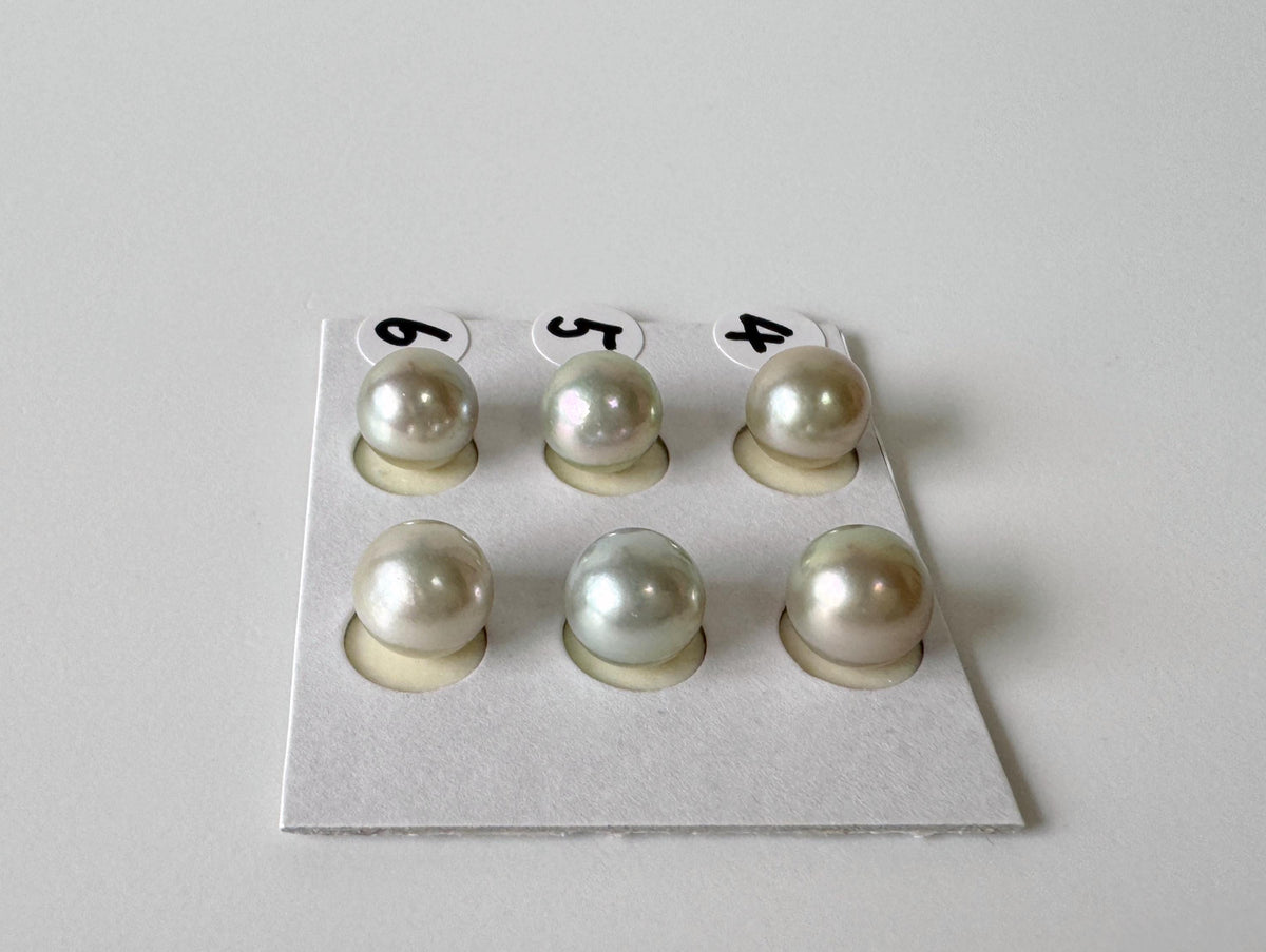 Japanese Blue/Silver (Cobalt Treated) Akoya Pearl 7.5-8mm, Half-Drilled loose, Price per pair, Salt water pearl