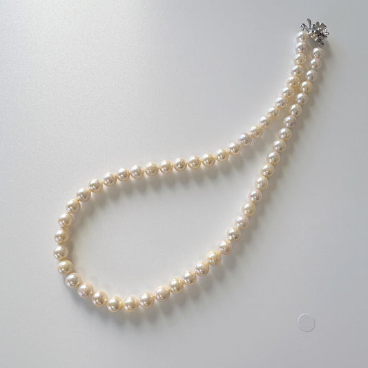 7-7.5mm Japanese Yellow Akoya Pearl Necklace with Silver Clasp, Genuine Akoya Pearl, 44.5cm, 17.5in, Cultured Salt water pearl