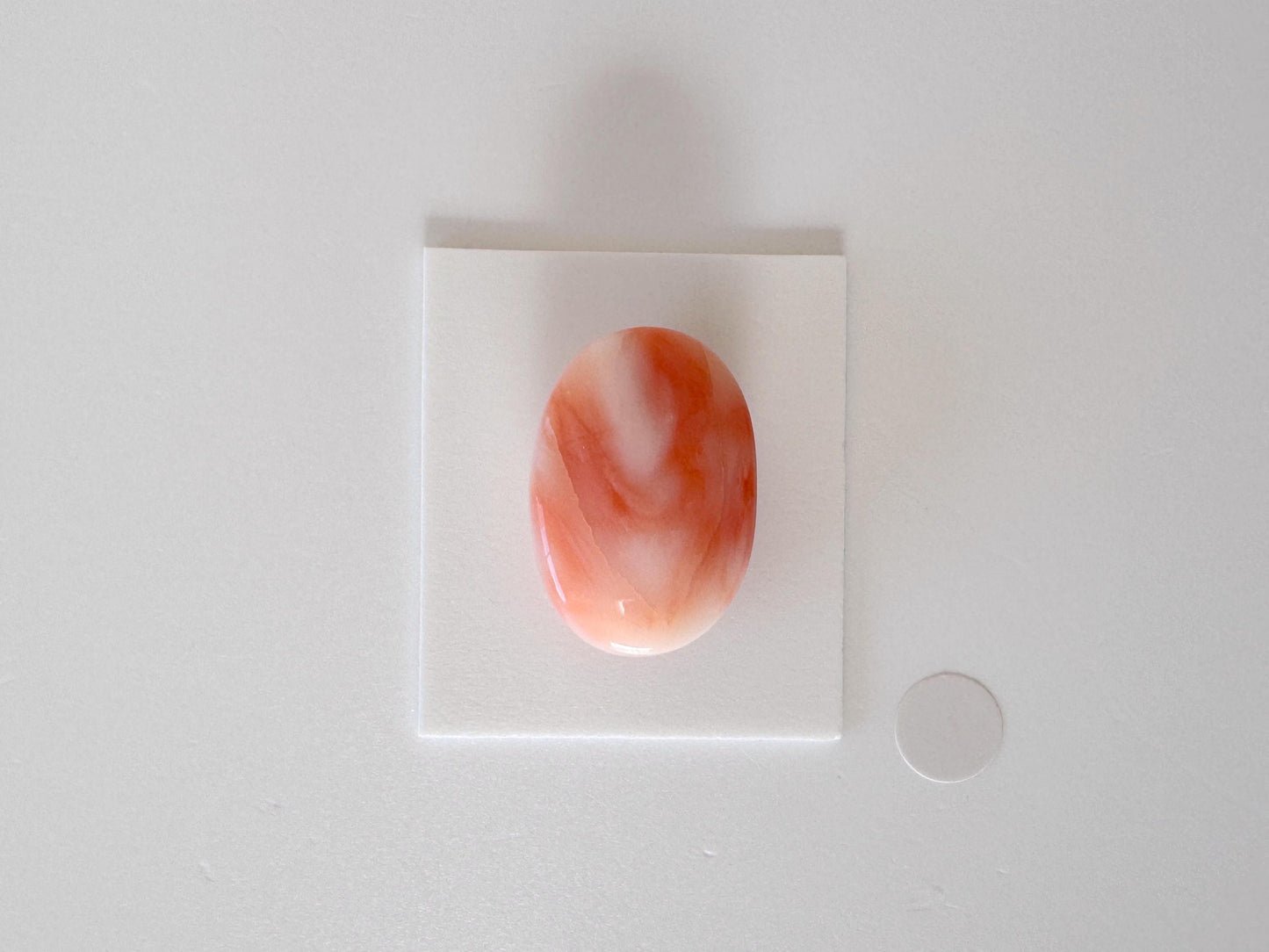 Natural Deep Sea Coral Cabochon, Pink/White/Orange Oval, 22.5x15.5mm