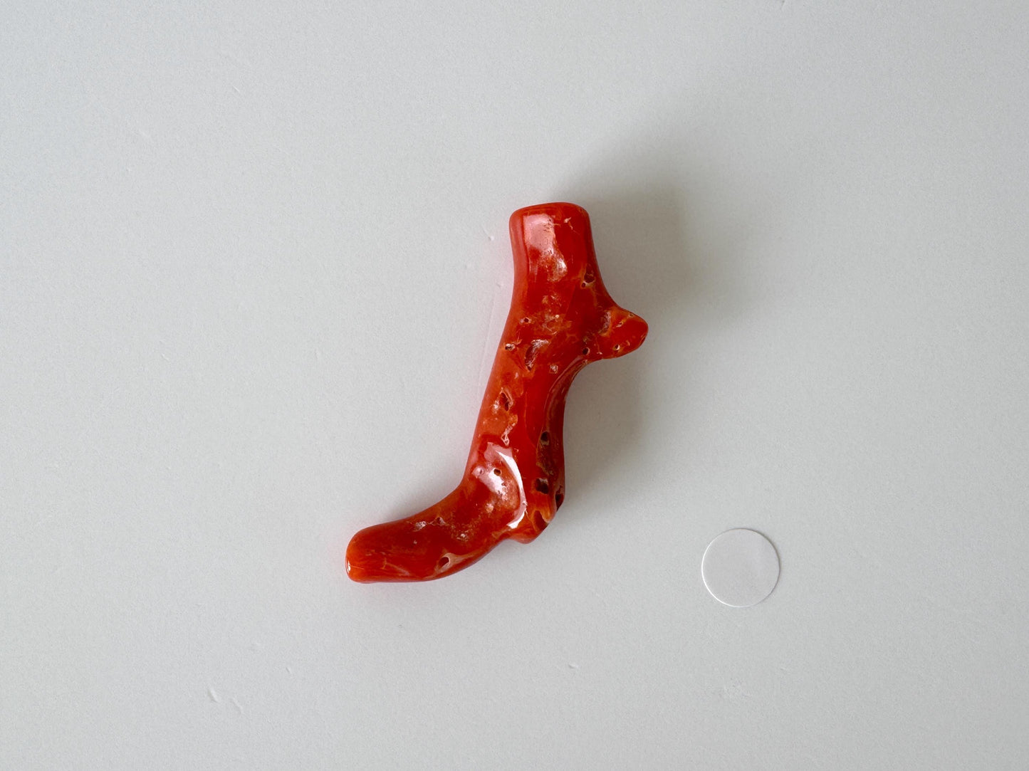 Japanese red(Aka) coral branch, 40mm, Hole on top, Natural red color coral for jewelry making