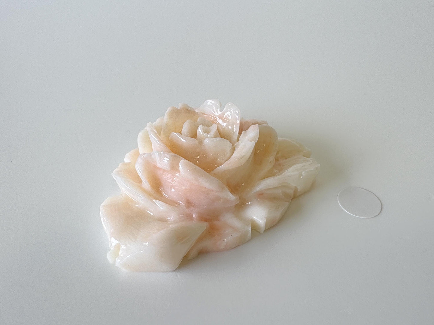 Natural Deep Sea Coral Rose Carving Loose, Natural Pink/White Color Coral, 43x34mm, Flat Back, For Jewelry Making
