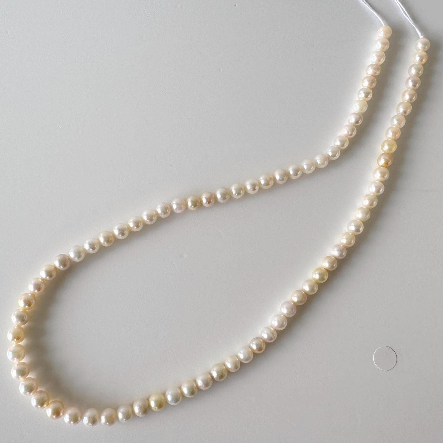 Japanese Akoya Pearl Strand - Cultured Saltwater Beads - 5-5.9mm White-Off White, Full 40cm Length, Jewelry Crafts