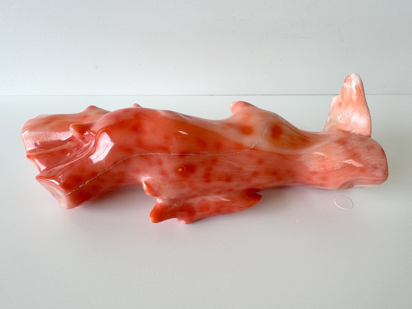 15ｘ5cm Big Diameter Natural Deep Sea Coral Branch Loose, Genuine Natural Color Orange/Pink Color Coral Branch, No Drilled Hole, For Display