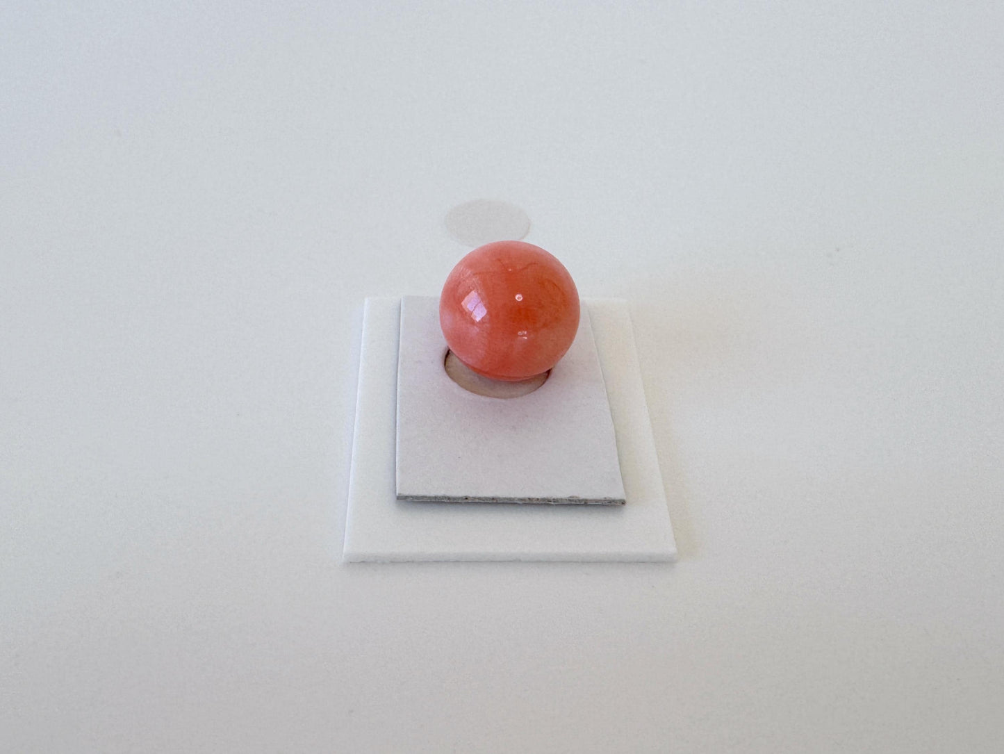 Natural Momo Coral Bead | 10.5mm Orange Round Coral Gemstone Half Drilled Hole Jewelry Crafting