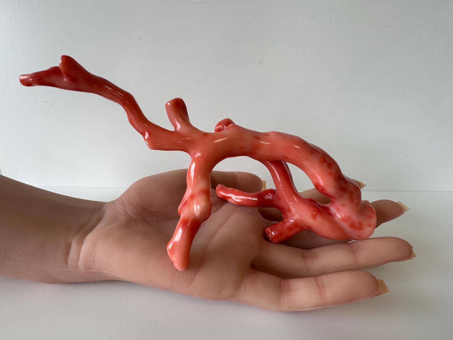 17.5ｘ7cm Natural Deep Sea Coral Branch Loose, Genuine Natural Color Orange/Pink Color Coral Branch, No Drilled Hole, For Display