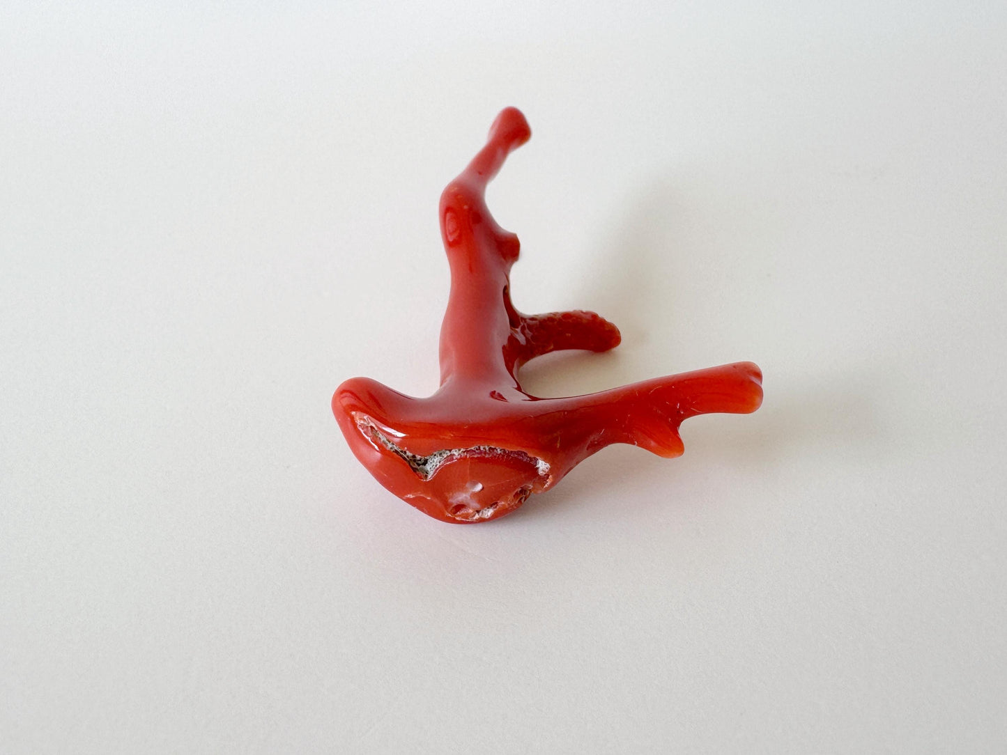 Japanese red(Aka) coral branch, 55mm, Hole on top, Natural red color coral for jewelry making