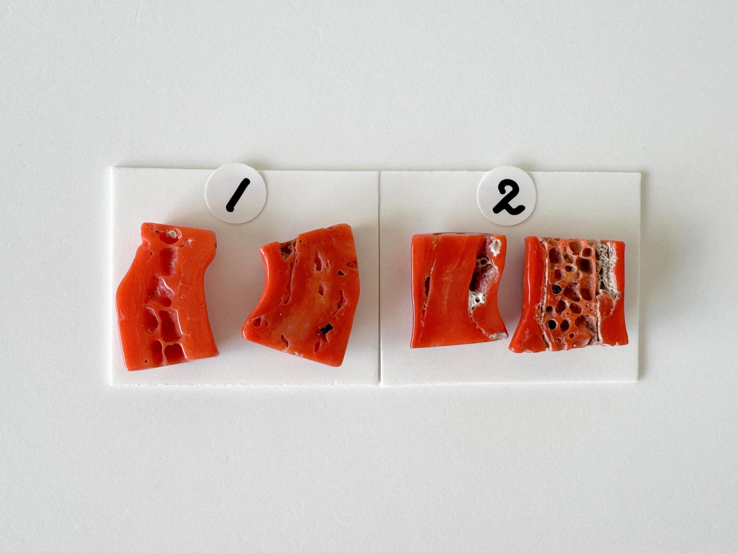 Mediterranean Coral Loose Gemstone: Natural Red-Orange Tones - Untreated, Top-hole, Jewelry Making Supplies, Per Pair