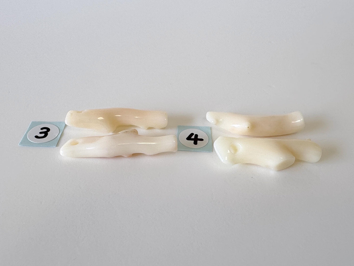 Value-priced Natural White Coral Branch Loose, Set of 2 pieces, Natural Color Deep Sea Midway Coral Branch