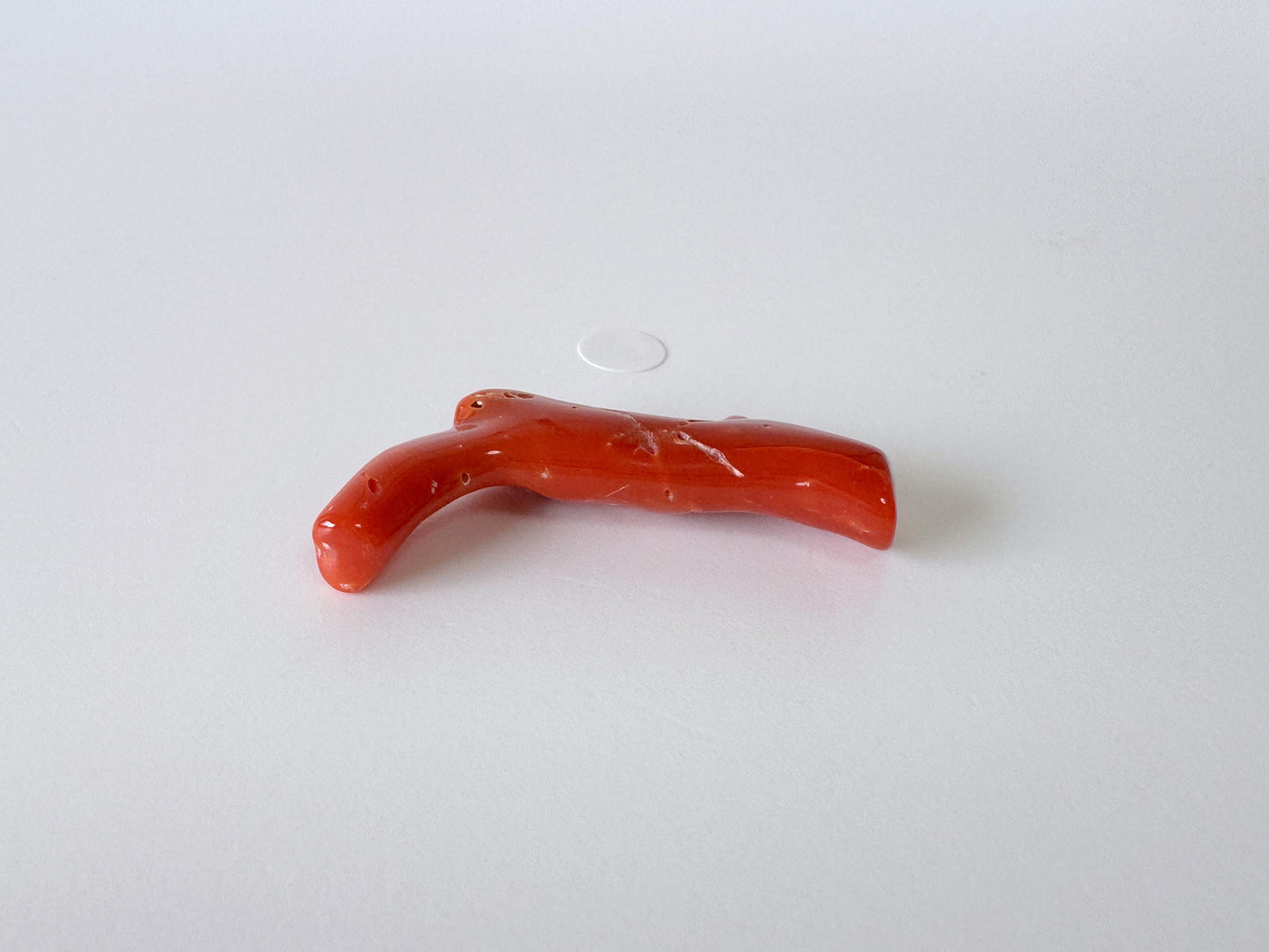 Japanese red(Aka) coral branch, 40mm, Hole on top, Natural red color coral for jewelry making