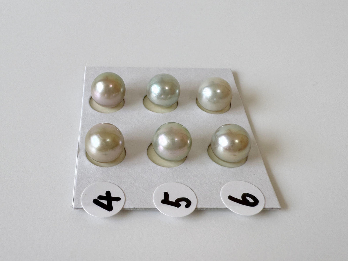 Japanese Blue/Silver (Cobalt Treated) Akoya Pearl 7.5-8mm, Half-Drilled loose, Price per pair, Salt water pearl