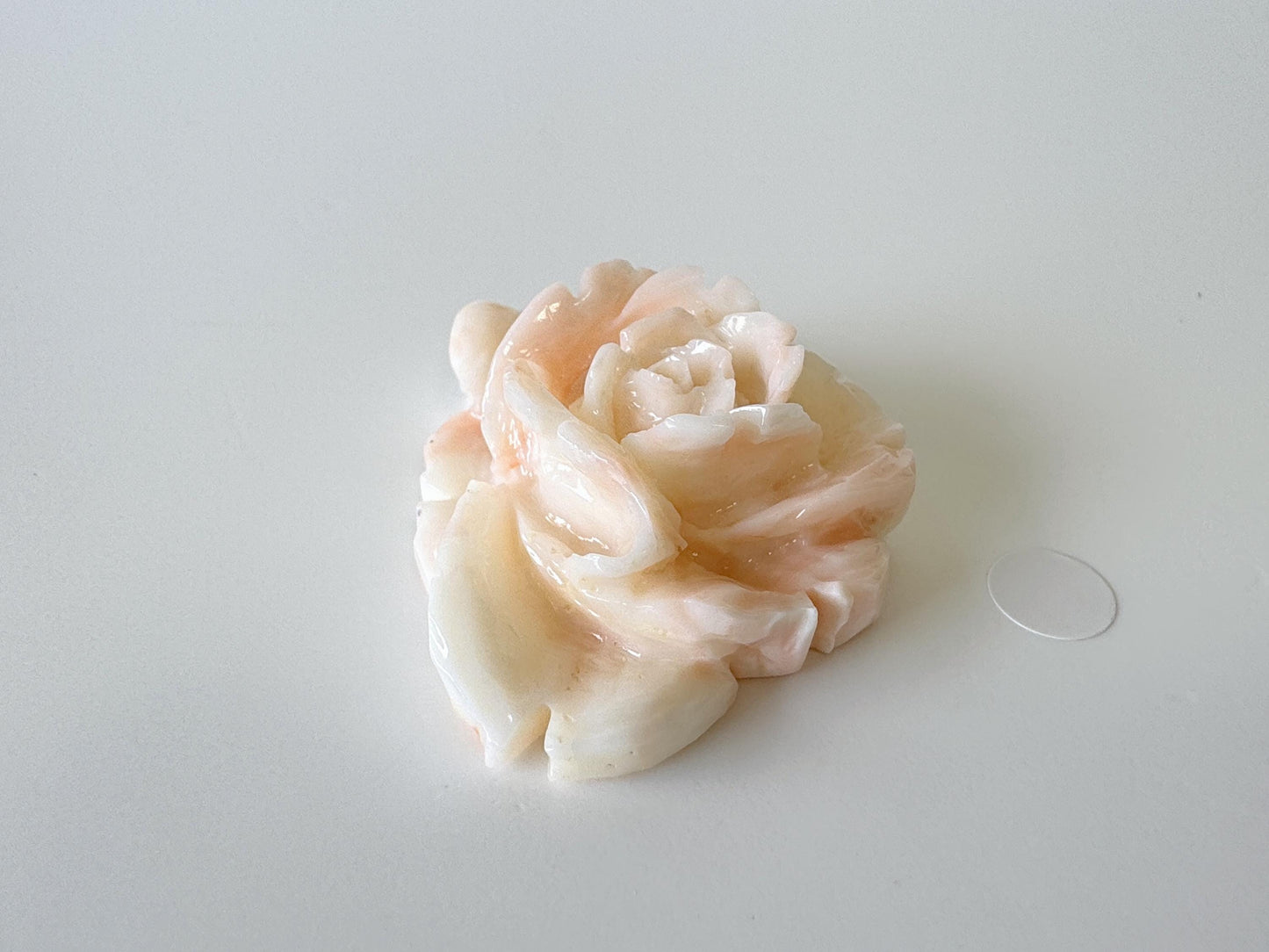 Natural Deep Sea Coral Rose Carving Loose, Natural Pink/White Color Coral, 43x34mm, Flat Back, For Jewelry Making