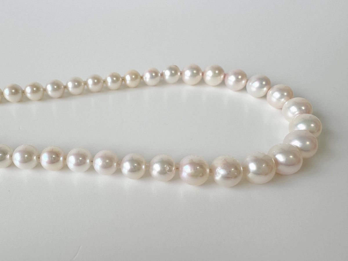 Japanese Akoya Pearl Necklace: White/Slightly Pink 6.8-9.3mm Cultured Strand, Silver Clasp | Saltwater Gems, 45cm Length